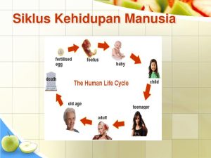 Wajib Tahu! Ini Bocoran Kisi-kisi Soal Kelas 4 Kurikulum 2013 Semester 2 Tema 6 Terbaru